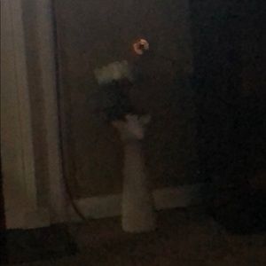 Meet your Posher, Romy